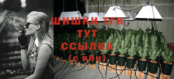 синтетический гашиш Заводоуковск