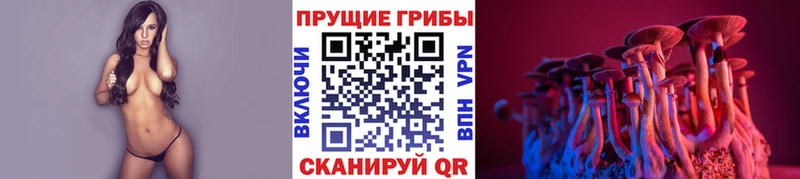 Псилоцибиновые грибы прущие грибы продажа наркотиков Инза