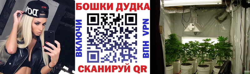 Каннабис план  сайты даркнета как зайти  Инза  сколько стоит 